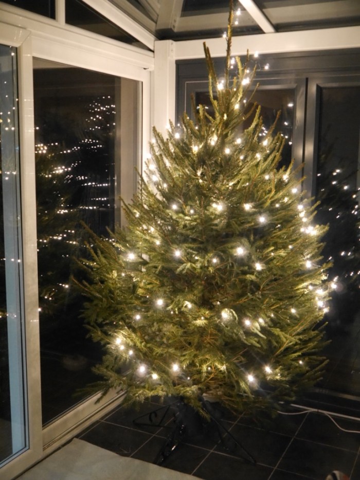 unadjustednonraw_thumb_941